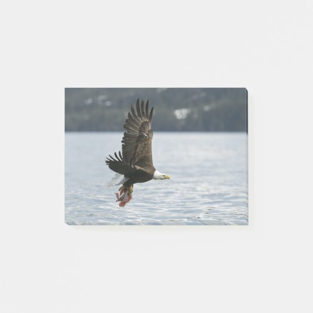 Bald Eagle Fish Retrieval Post-it Notes (Front)
