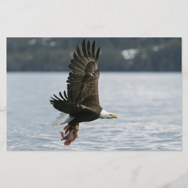 Bald Eagle Fish Retrieval Stationery (Front)