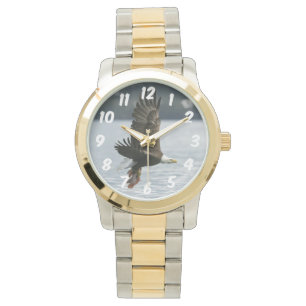 Bald Eagle Fish Retrieval Watch