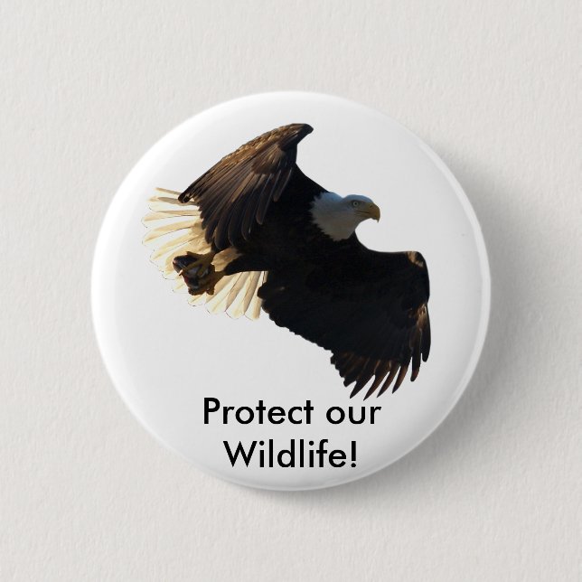 Bald Eagle Flight Collection II 6 Cm Round Badge (Front)