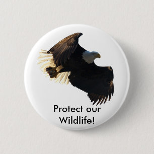 Bald Eagle Flight Collection II 6 Cm Round Badge