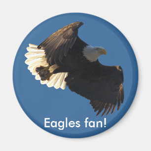 Bald Eagle Flight Collection II Magnet