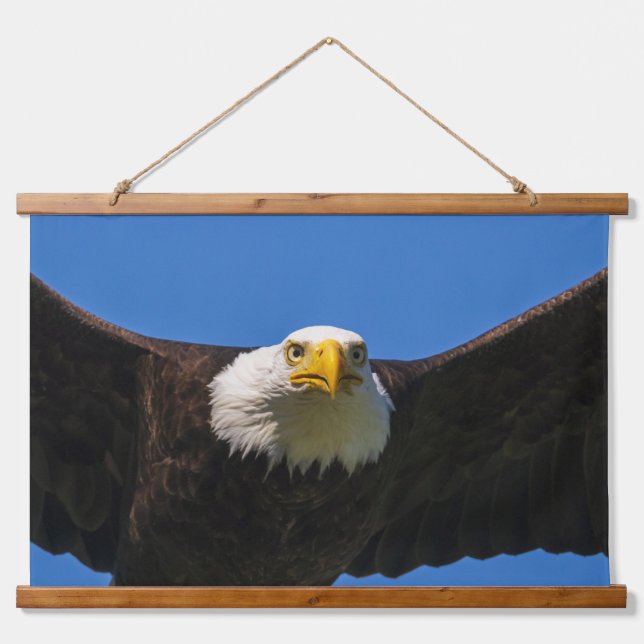 Bald Eagle Flyby Up Close Hanging Tapestry (Front)