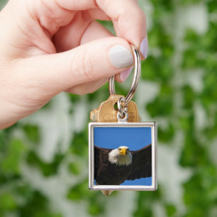 Bald Eagle Flyby Up Close Key Ring