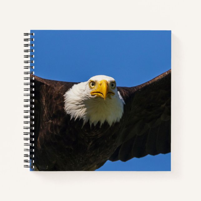 Bald Eagle Flyby Up Close Notebook (Front)