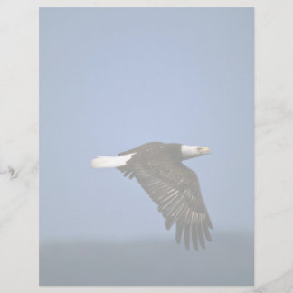 Bald Eagle flying across horizon