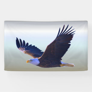 Bald Eagle Flying Banner