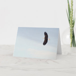 Bald Eagle flying Card