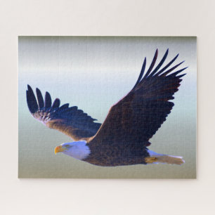 Bald Eagle Flying Jigsaw Puzzle