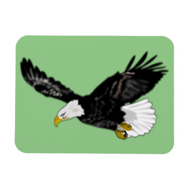 Bald Eagle Flying Magnet Your Colors (Horizontal)