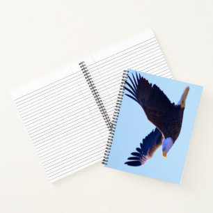 Bald Eagle Flying Notebook