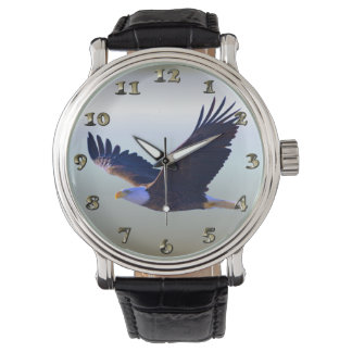 Bald Eagle Flying Watch