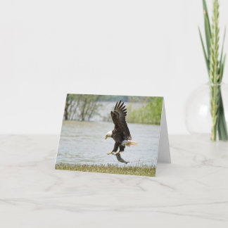 Bald Eagle Folded Card