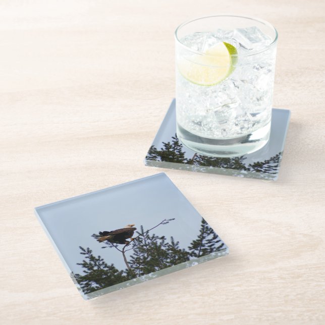 Bald Eagle Glass Coaster (Angled)