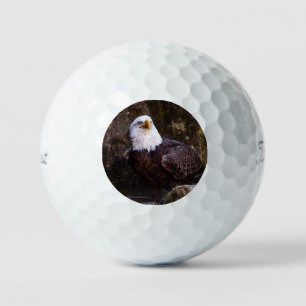 Bald Eagle Golf Balls