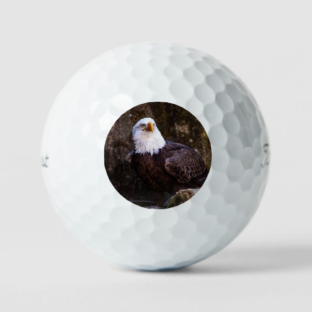 Bald Eagle Golf Balls (Front)