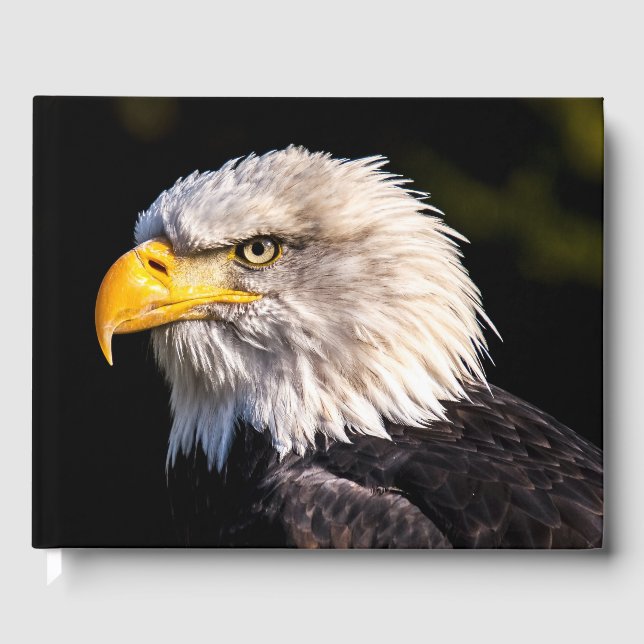 Bald Eagle Guest Book (Front)