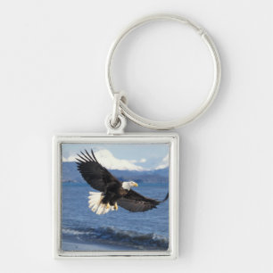 bald eagle, Haliaeetus leuccocephalus, in flight Key Ring