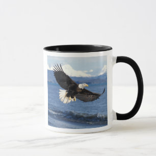 bald eagle, Haliaeetus leuccocephalus, in flight Mug