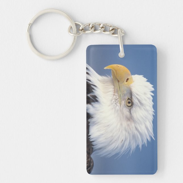 bald eagle, Haliaeetus leuccocephalus, Key Ring (Front)