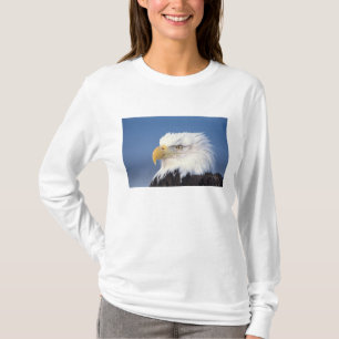 bald eagle, Haliaeetus leuccocephalus, T-Shirt