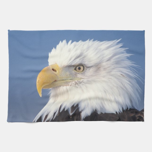 bald eagle, Haliaeetus leuccocephalus, Tea Towel (Horizontal)