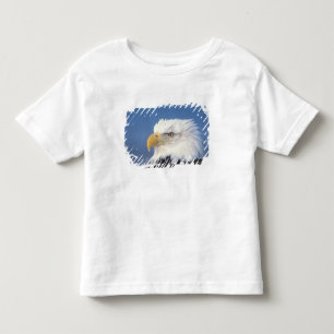 bald eagle, Haliaeetus leuccocephalus, Toddler T-Shirt