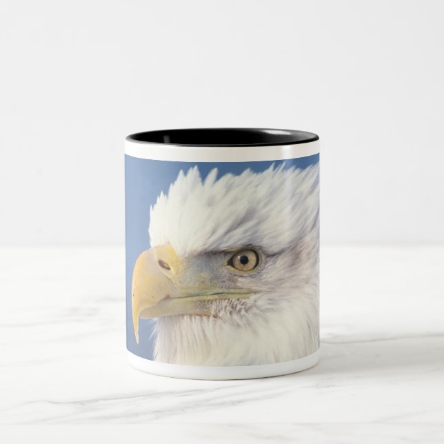 bald eagle, Haliaeetus leuccocephalus, Two-Tone Coffee Mug (Center)