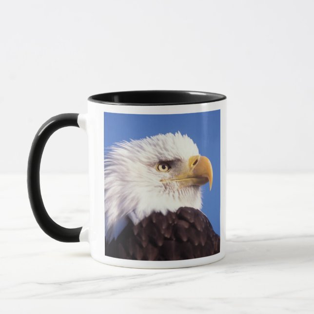 bald eagle, Haliaeetus leucocephalus, close up, 3 Mug (Left)