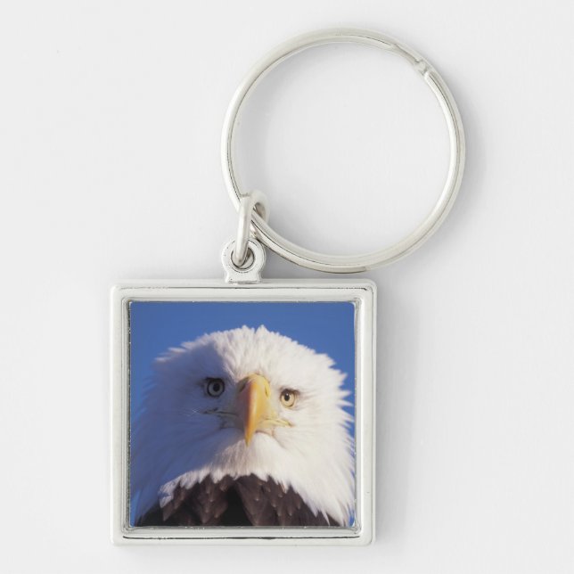 bald eagle, Haliaeetus leucocephalus, head shot, Key Ring (Front)