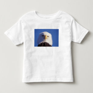 bald eagle, Haliaeetus leucocephalus, head shot, Toddler T-Shirt