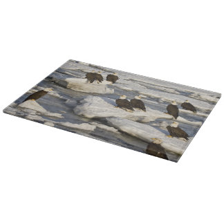 Bald Eagle, Haliaeetus leucocephalus, Homer, 2 Cutting Board