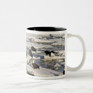 Bald Eagle, Haliaeetus leucocephalus, Homer, 2 Two-Tone Coffee Mug
