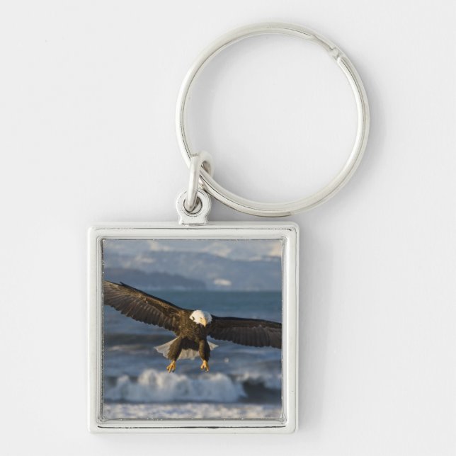 Bald Eagle, Haliaeetus leucocephalus, Homer, 3 Key Ring (Front)
