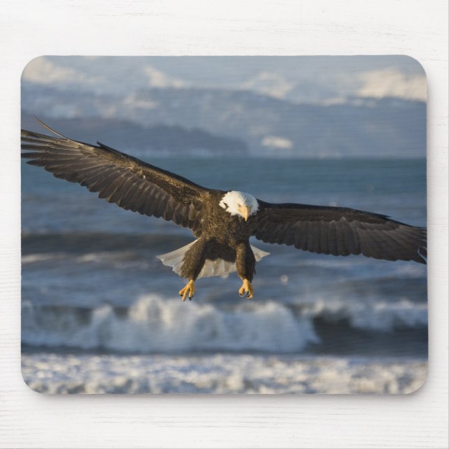 Bald Eagle, Haliaeetus leucocephalus, Homer, 3 Mouse Pad (Front)