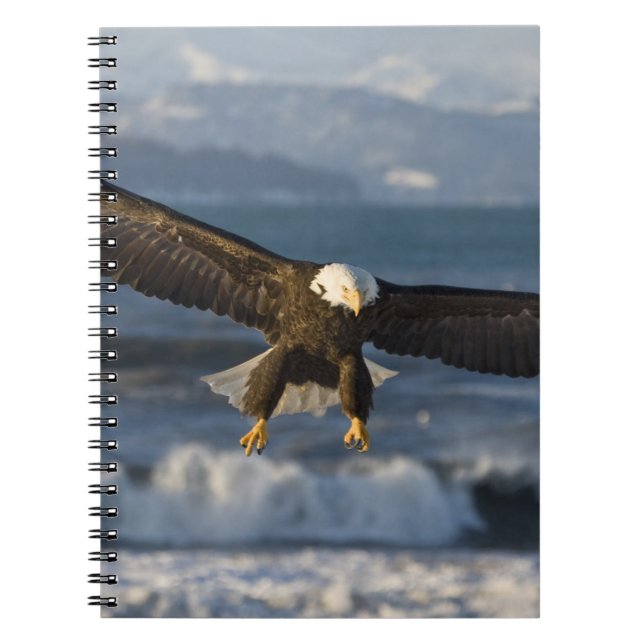 Bald Eagle, Haliaeetus leucocephalus, Homer, 3 Spiral Notebook (Front)