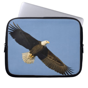 Bald Eagle, Haliaeetus leucocephalus, Homer, 4 Laptop Sleeve
