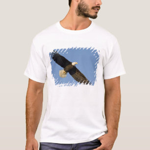 Bald Eagle, Haliaeetus leucocephalus, Homer, 4 T-Shirt