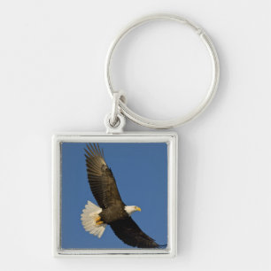 Bald Eagle, Haliaeetus leucocephalus, Homer, Key Ring