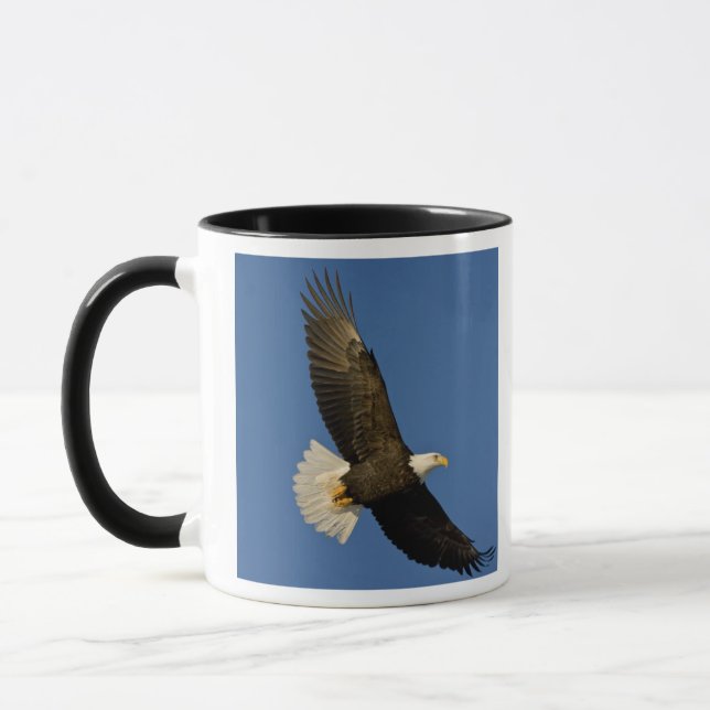 Bald Eagle, Haliaeetus leucocephalus, Homer, Mug (Left)