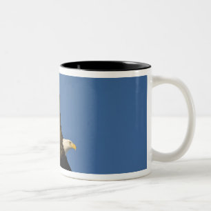 Bald Eagle, Haliaeetus leucocephalus, Homer, Two-Tone Coffee Mug