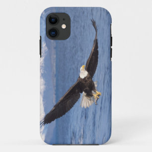 bald eagle, Haliaeetus leucocephalus, in flight 4 Case-Mate iPhone Case