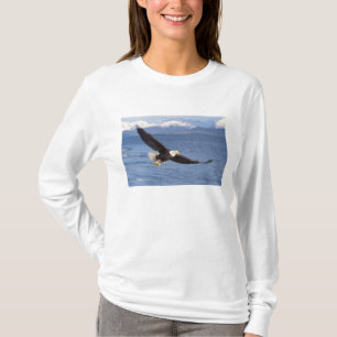 bald eagle, Haliaeetus leucocephalus, in flight 4 T-Shirt