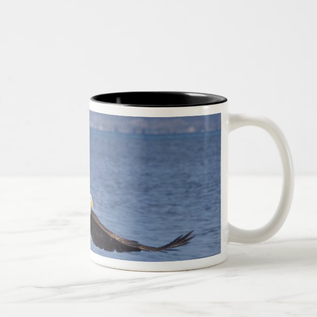 bald eagle, Haliaeetus leucocephalus, in flight 4 Two-Tone Coffee Mug (Right)