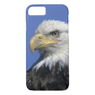Bald Eagle, (Haliaeetus leucocephalus), wild, Case-Mate iPhone Case
