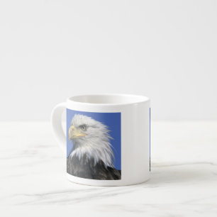 Bald Eagle, (Haliaeetus leucocephalus), wild, Espresso Cup