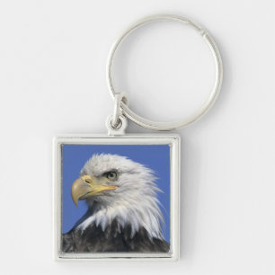 Bald Eagle, (Haliaeetus leucocephalus), wild, Key Ring