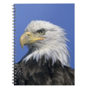 Bald Eagle, (Haliaeetus leucocephalus), wild, Spiral Notebook