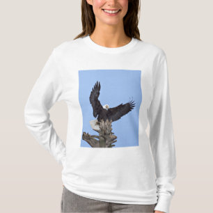 Bald Eagle (Haliaeetus leucocephalus) with wings T-Shirt