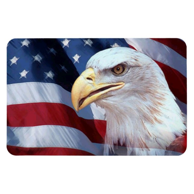 bald Eagle head American flag Fourth of July Magnet (Horizontal)